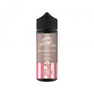 Steam Train Magnificent 24ml/120ml bottle flavor